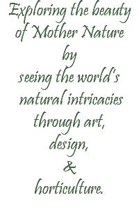 Exploring the beauty of Mother Nature by seeing the world’s natural intricacies through art, design, & horticulture. 